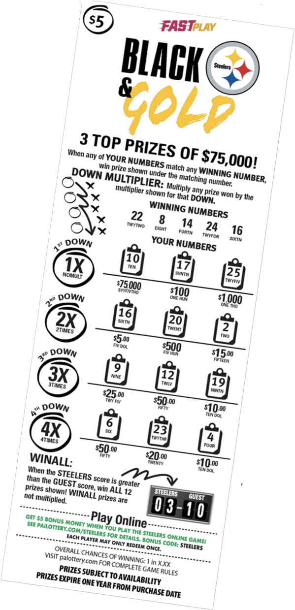 Steelers Fast Play Ticket