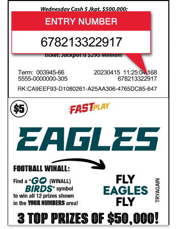 entry number instructions