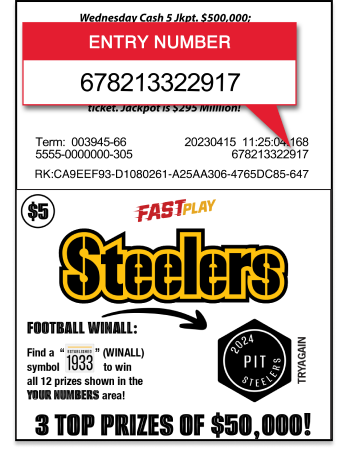 entry number instructions
