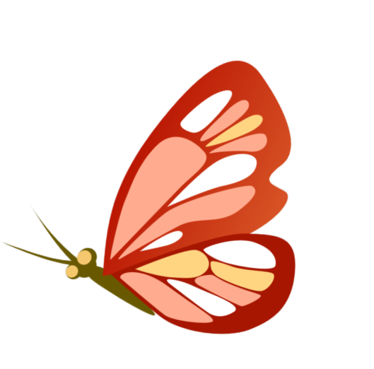 butterfly image