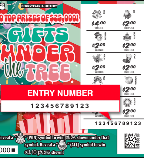 entry number instructions