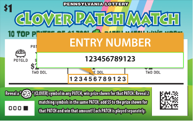 entry number instructions