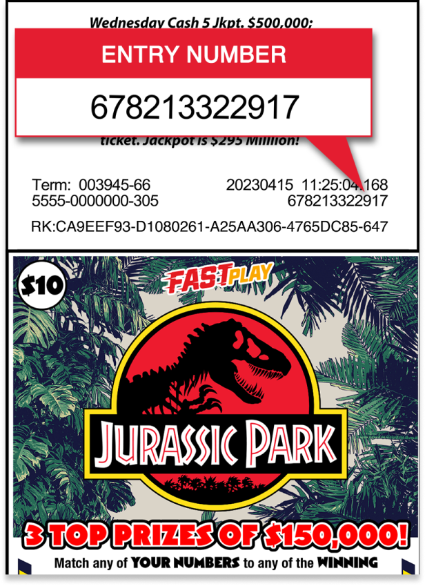 entry number instructions