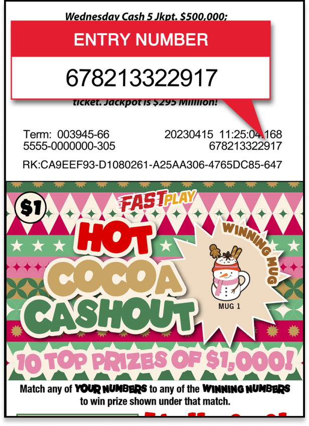 entry number instructions