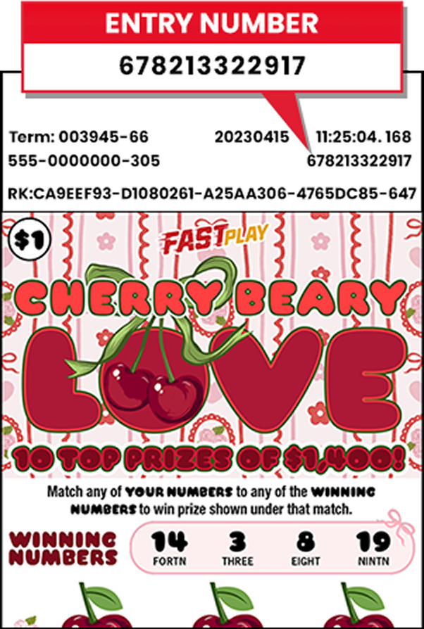 entry number instructions