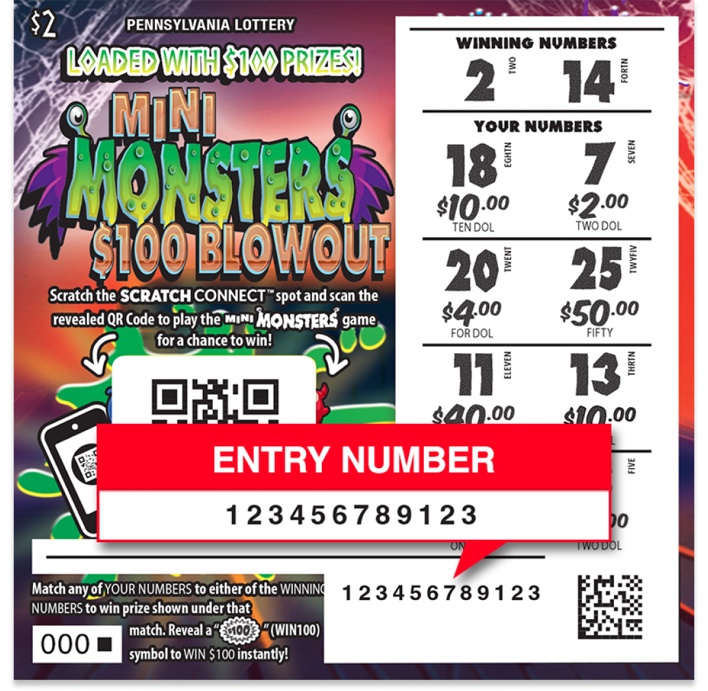 entry number instructions